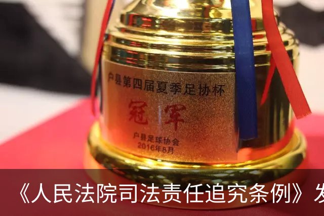 《人民法院司法责任追究条例》发布，明确司法追究范围处理方式等