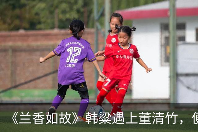 《兰香如故》韩粱遇上董清竹，便放弃了兰香，答案就在竹竿上