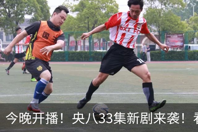 今晚开播！央八33集新剧来袭！看完阵容我想说：有她这剧收视要爆