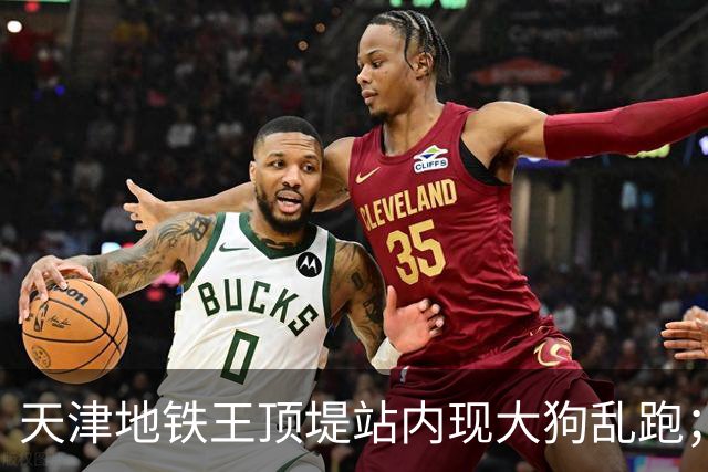 天津地铁王顶堤站内现大狗乱跑；地铁回应：应该是流浪狗；乘客疑惑：它咋过的安检？