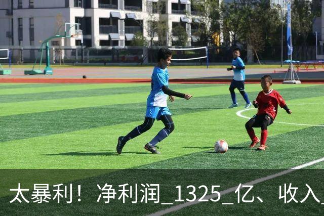 太暴利！净利润 1325 亿、收入 2700 亿（最高）