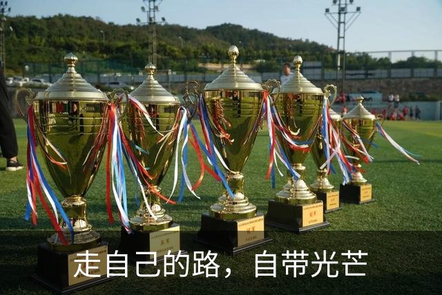 走自己的路，自带光芒