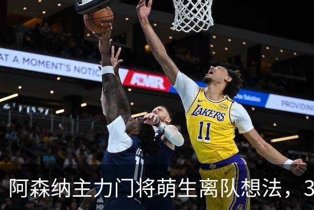 阿森纳主力门将萌生离队想法，3.76亿元锋线新援进入引援视野